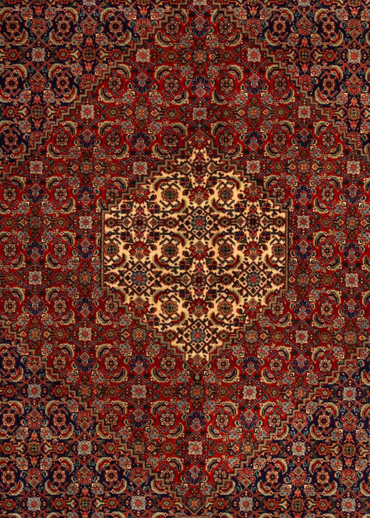 398 x 309 Täbriz Mahi