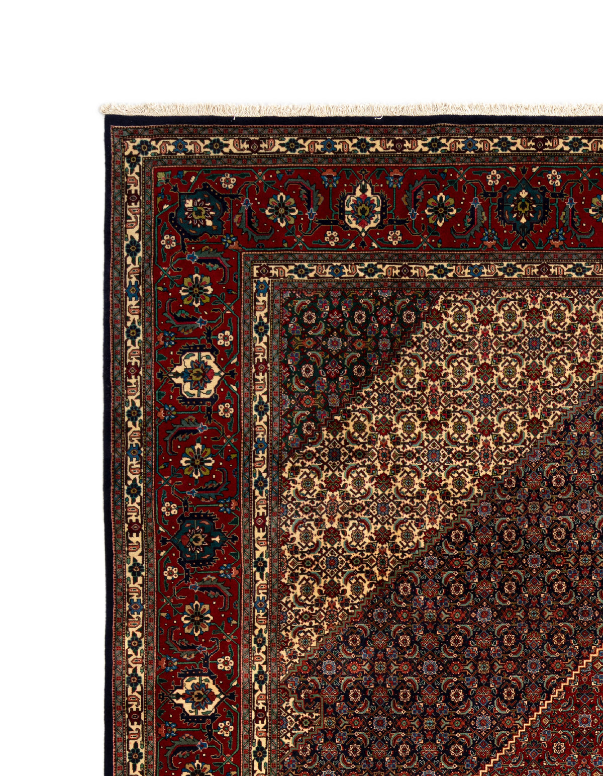 387 x 308 Tabriz Mahi