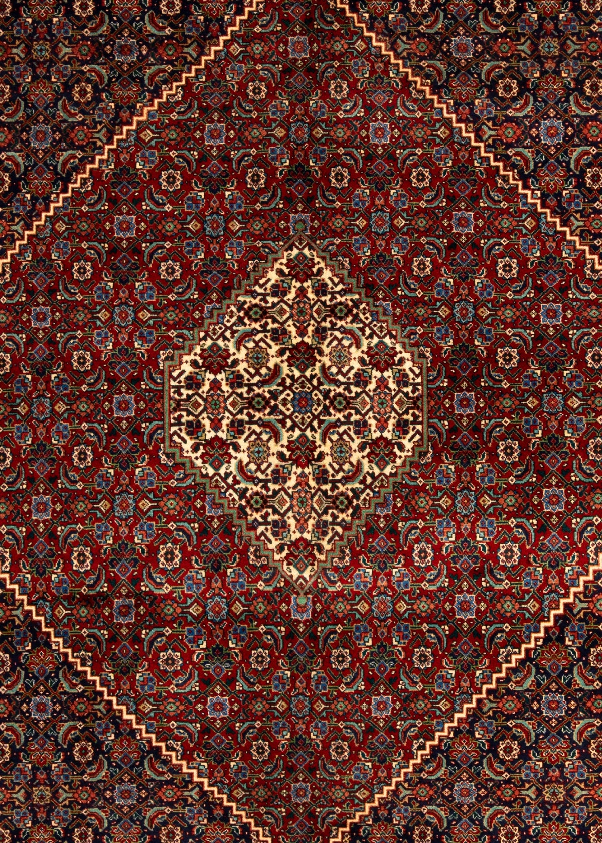 387 x 308 Tabriz Mahi