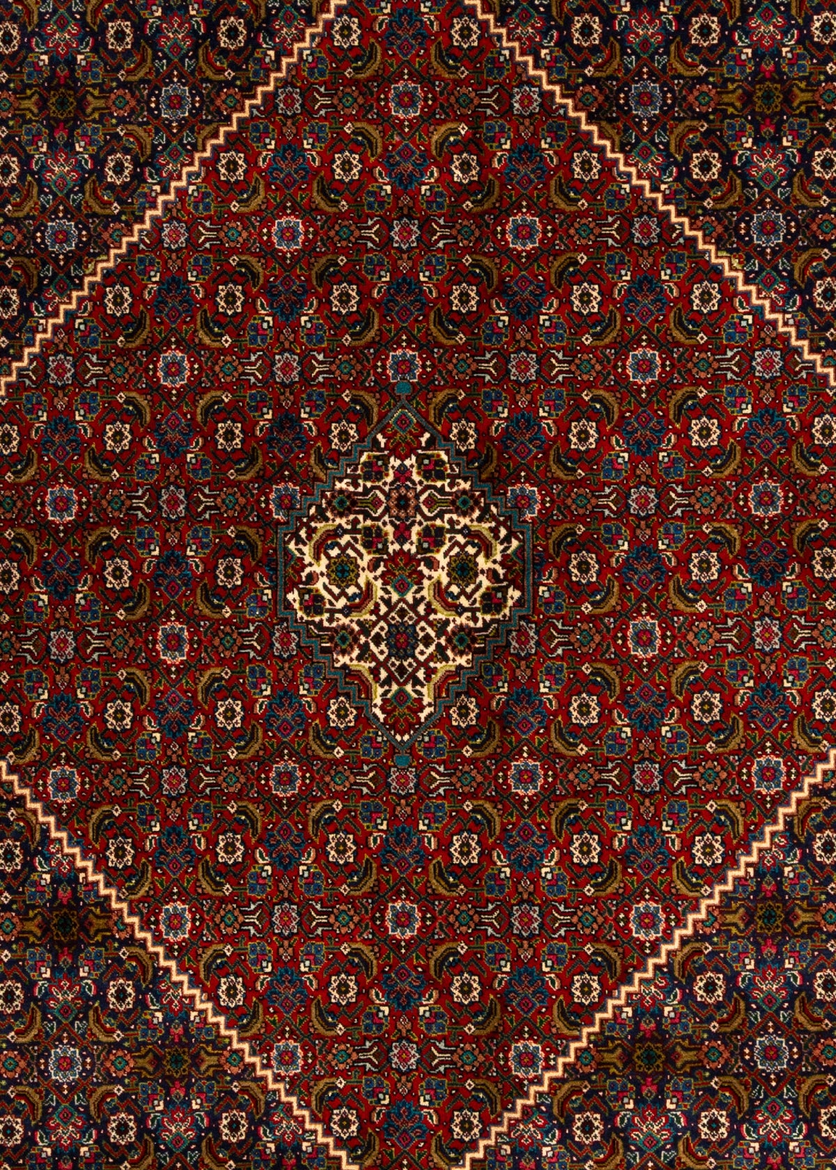 400 x 301 Täbriz Mahi