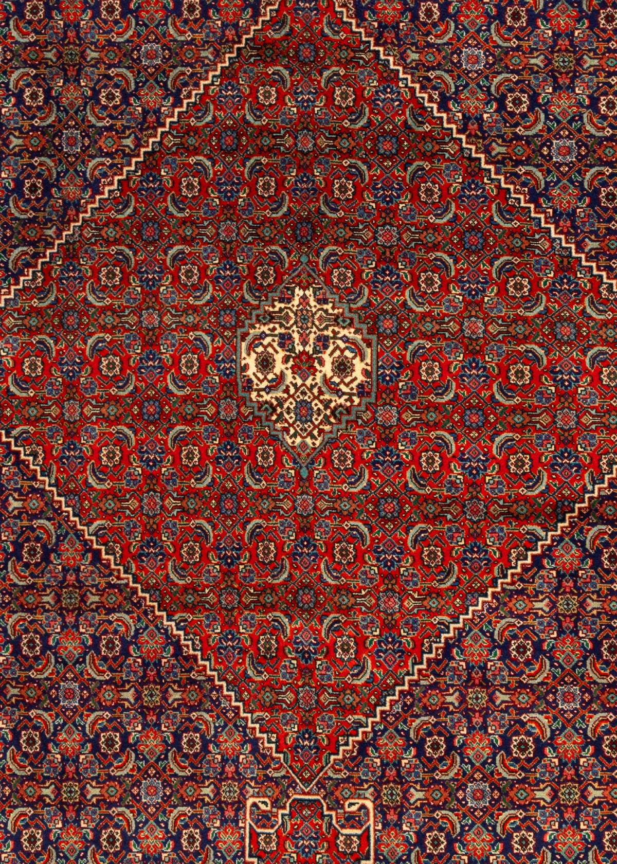 378 x 304 Täbriz Mahi