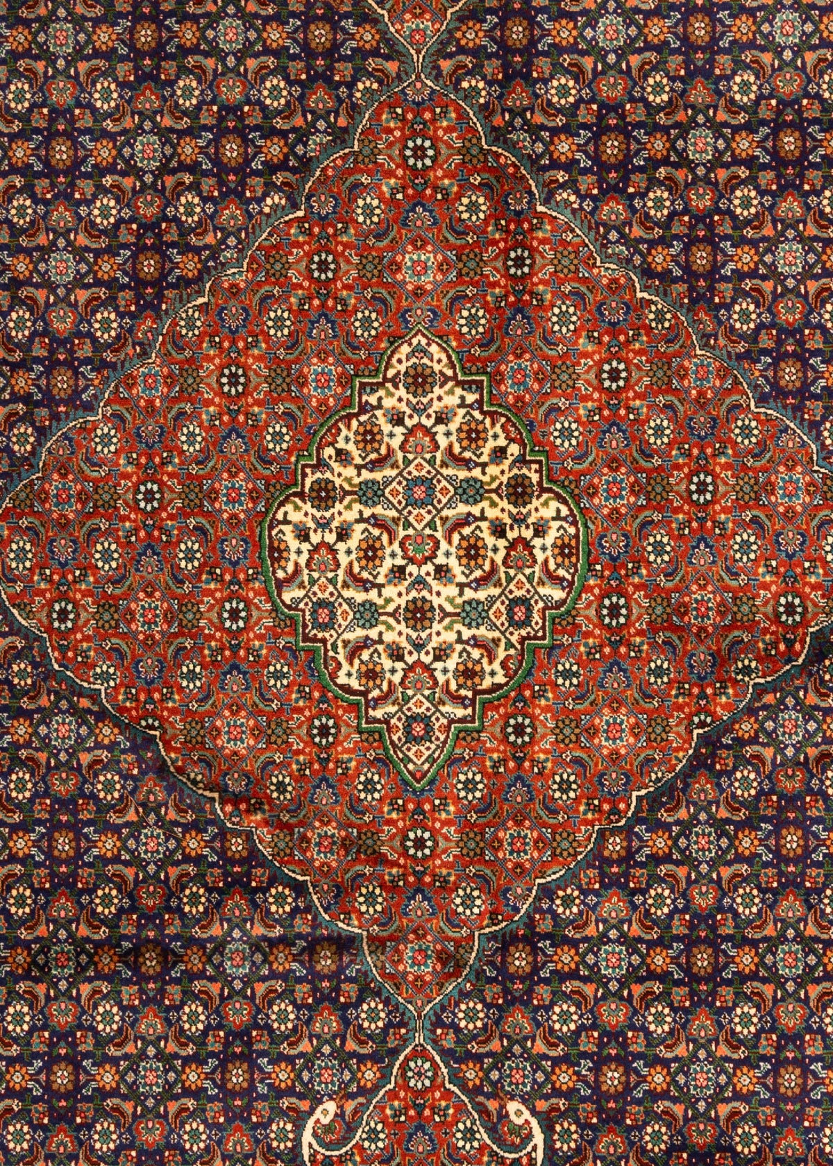 381 x 303 Täbriz Mahi