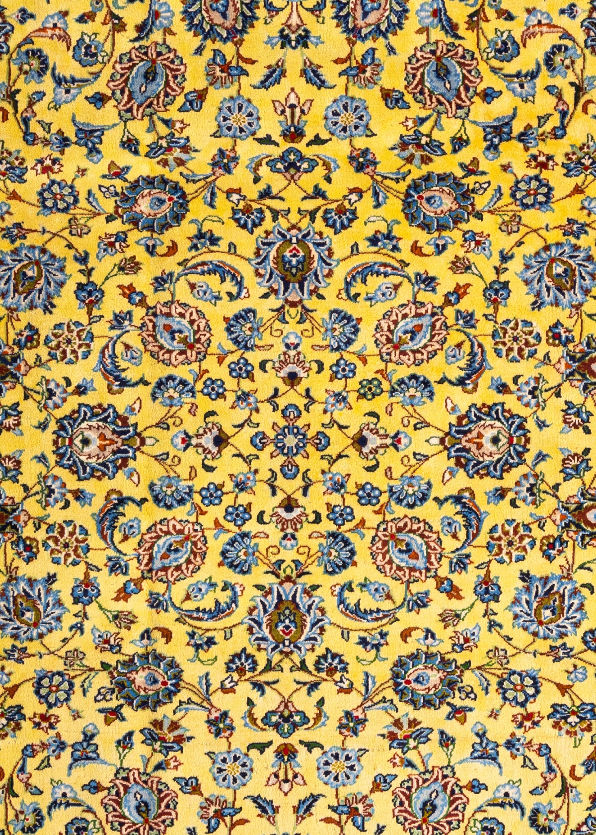 410 x 290 Keshan