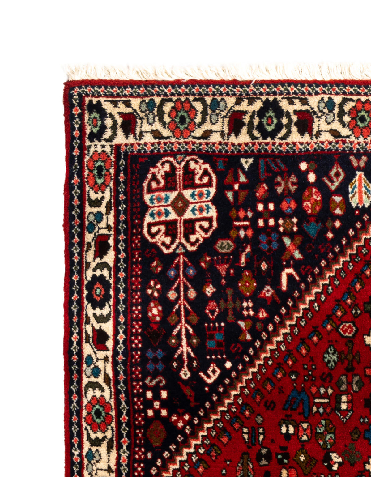 149 x 108 Afshar