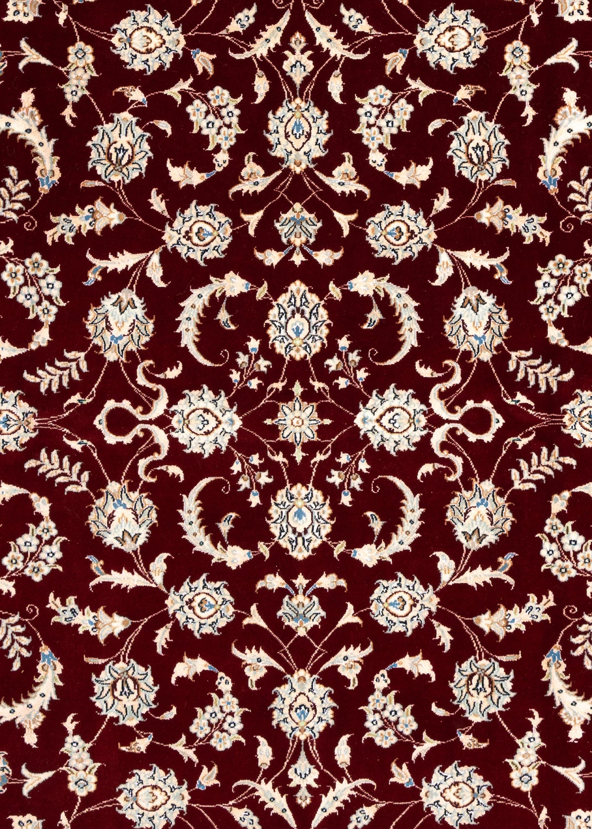 231 x 169 Nain 9 La Sherkat