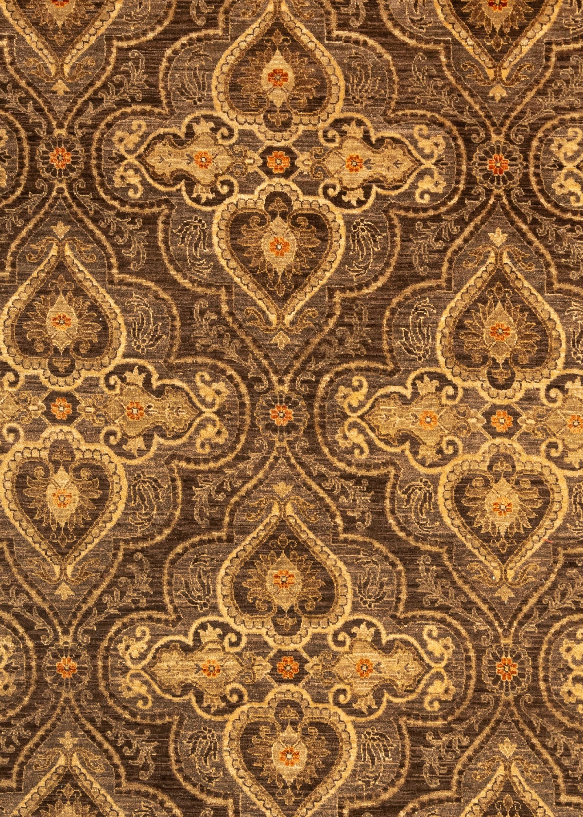350x273 Ziegler fin