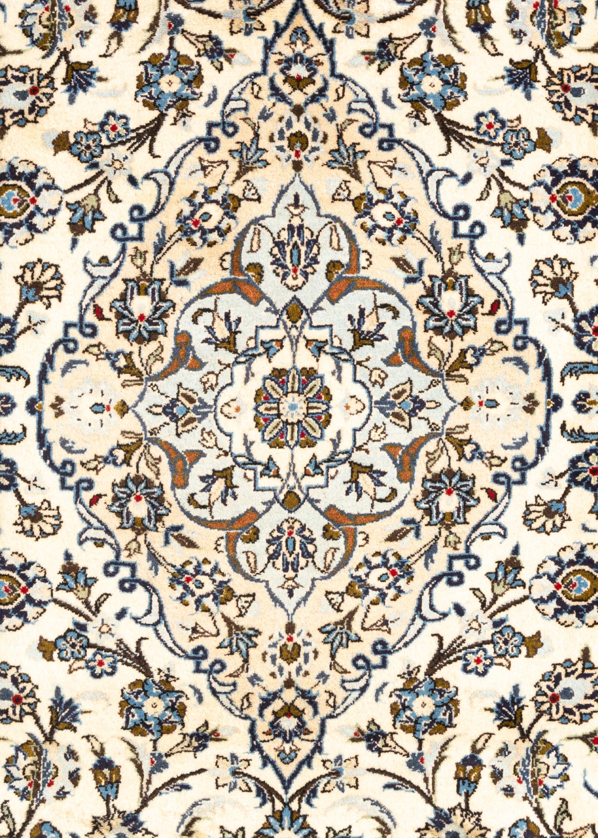 363 x 248 Keshan