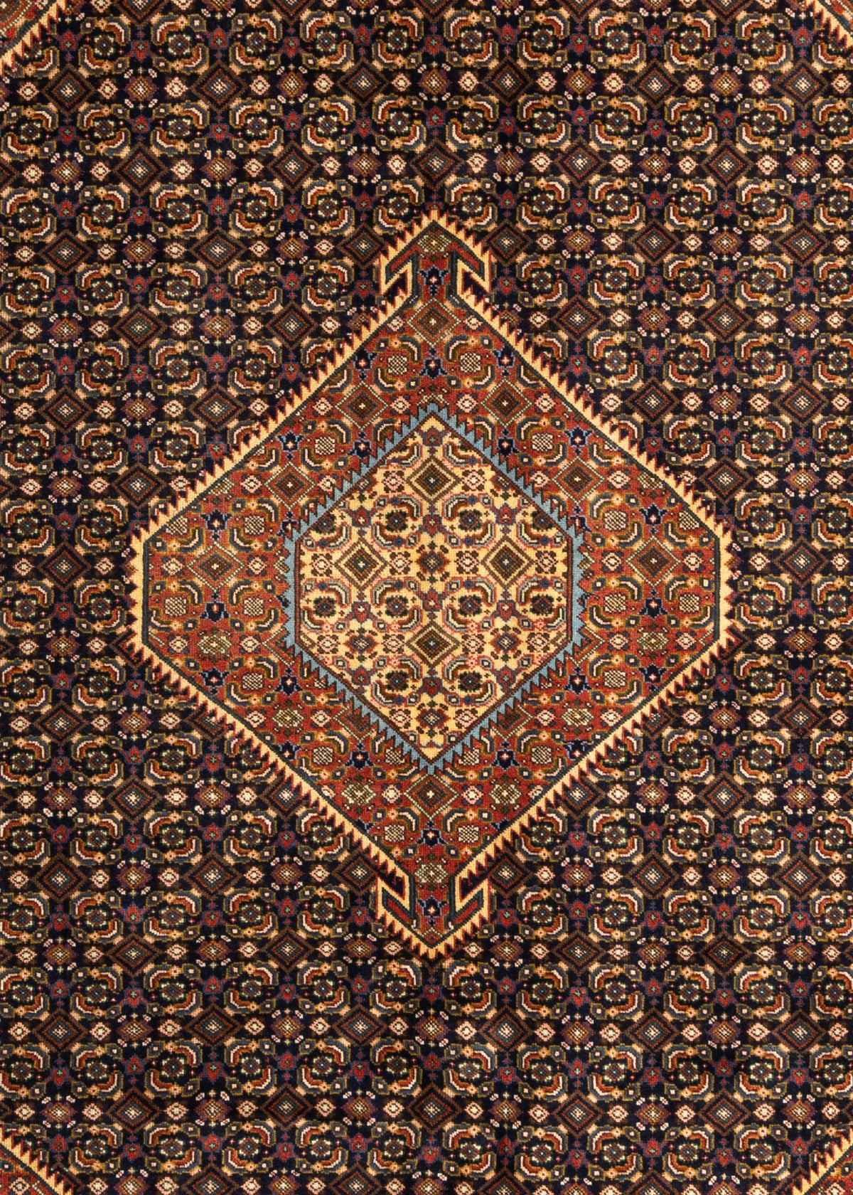 290 x 199 Täbriz