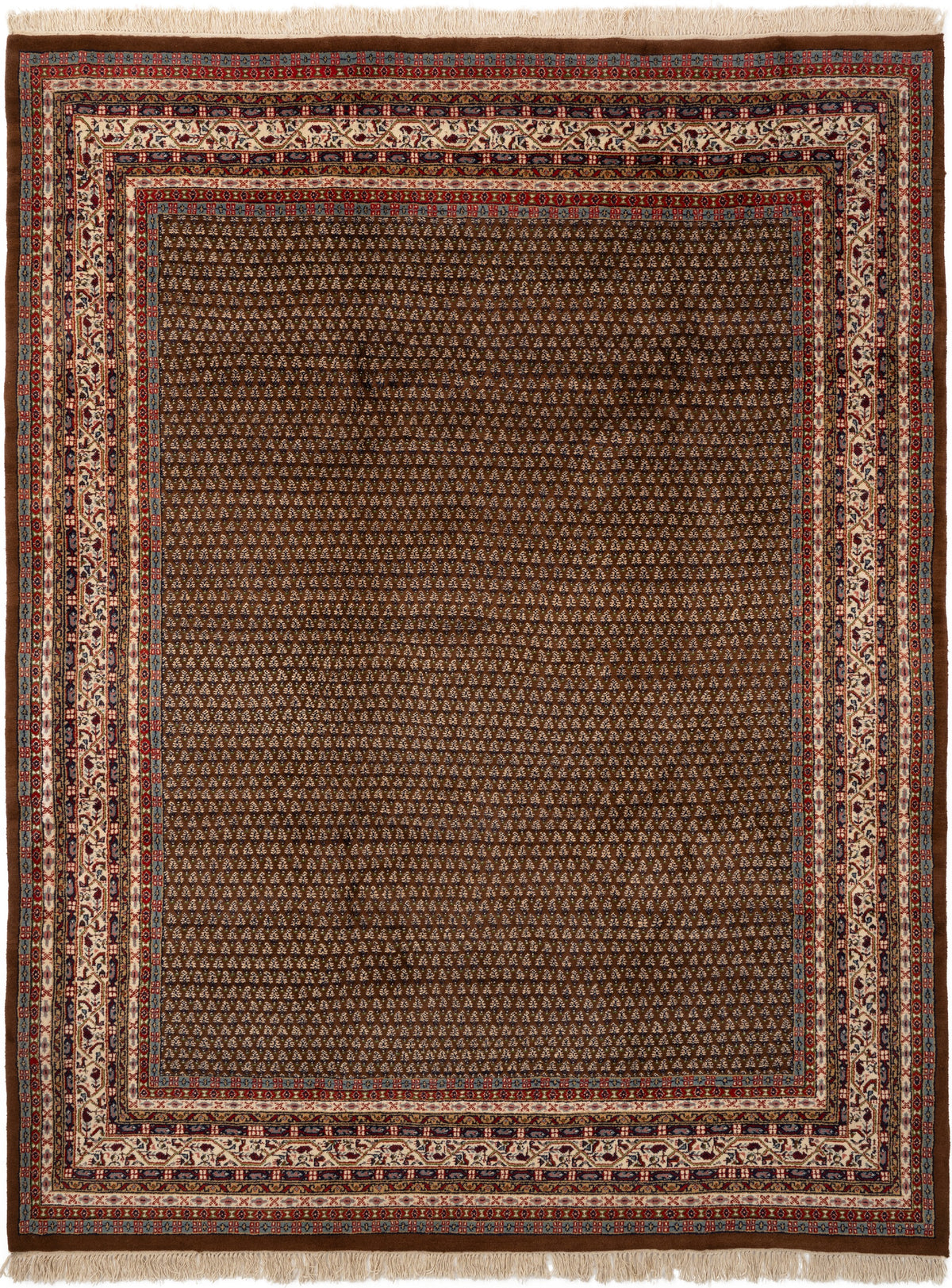 341x264 Sarnath Mir