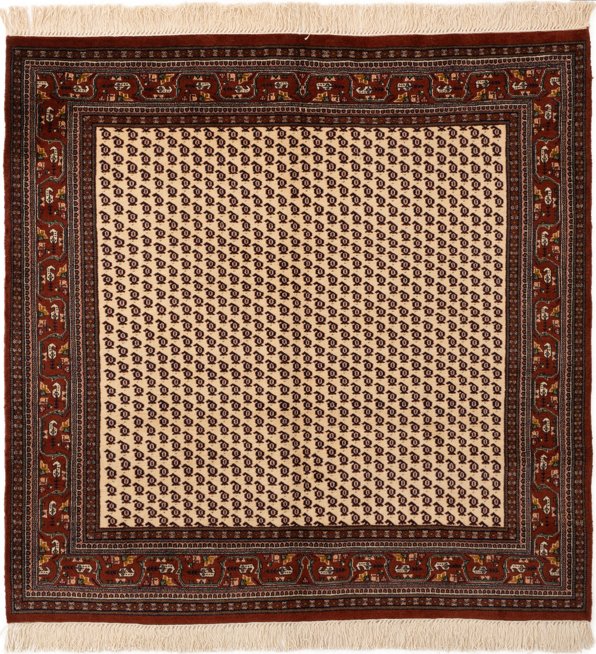 155x154 Akbar Mir