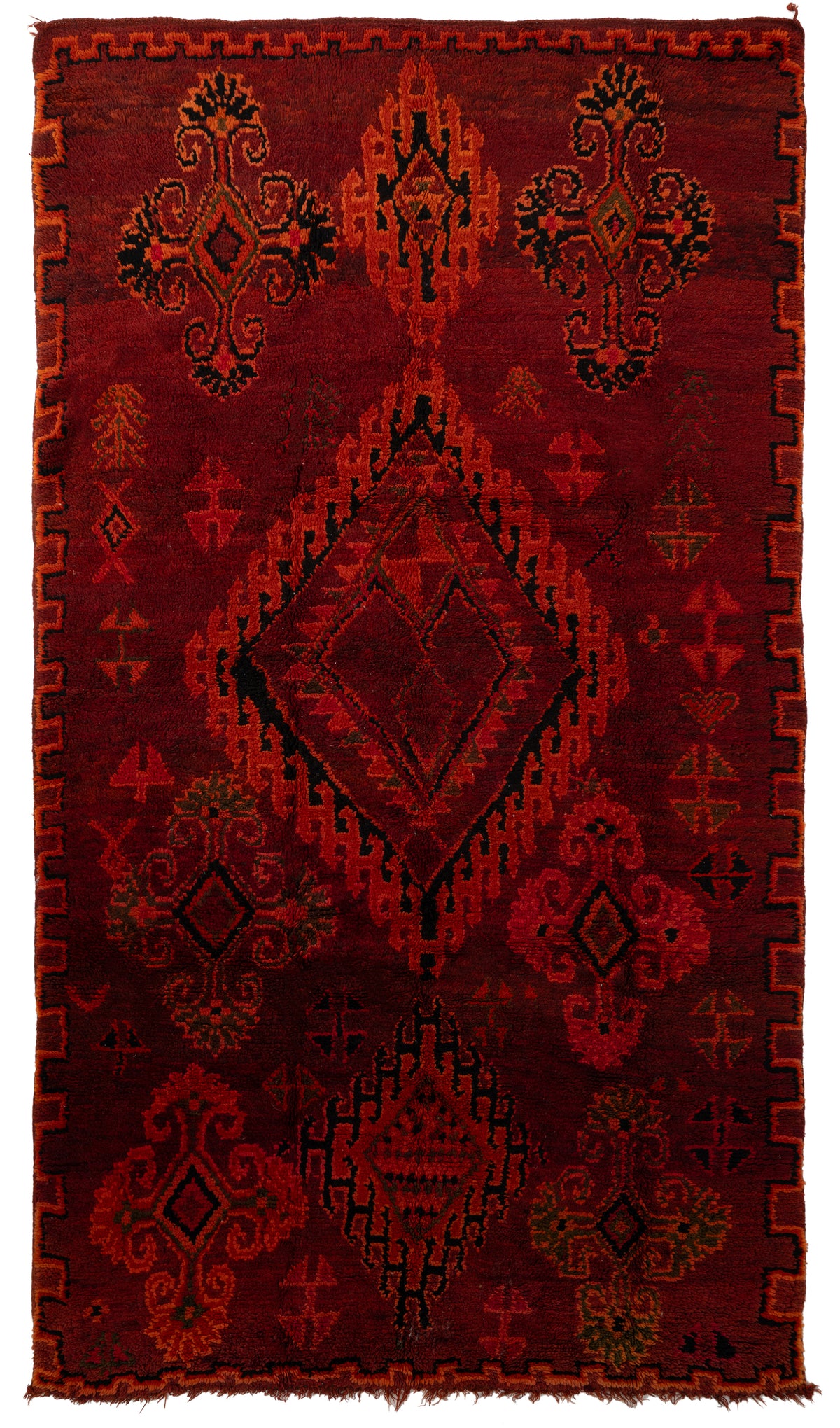335 x 187 Berber