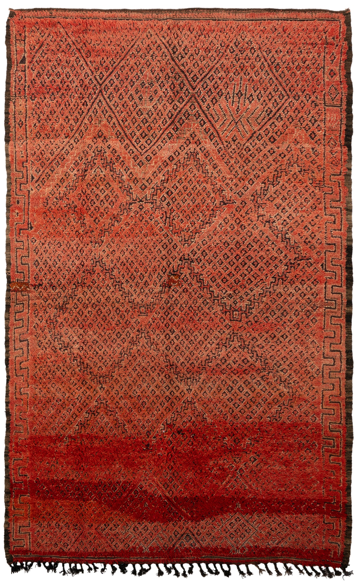 300 x 176 Berber