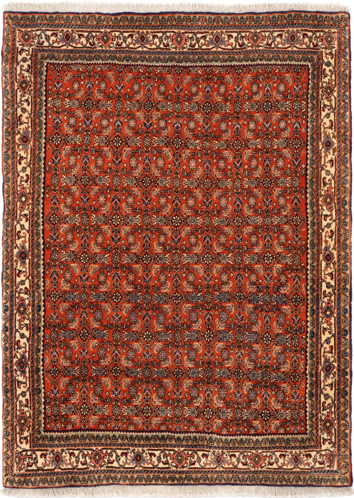 Bidjar