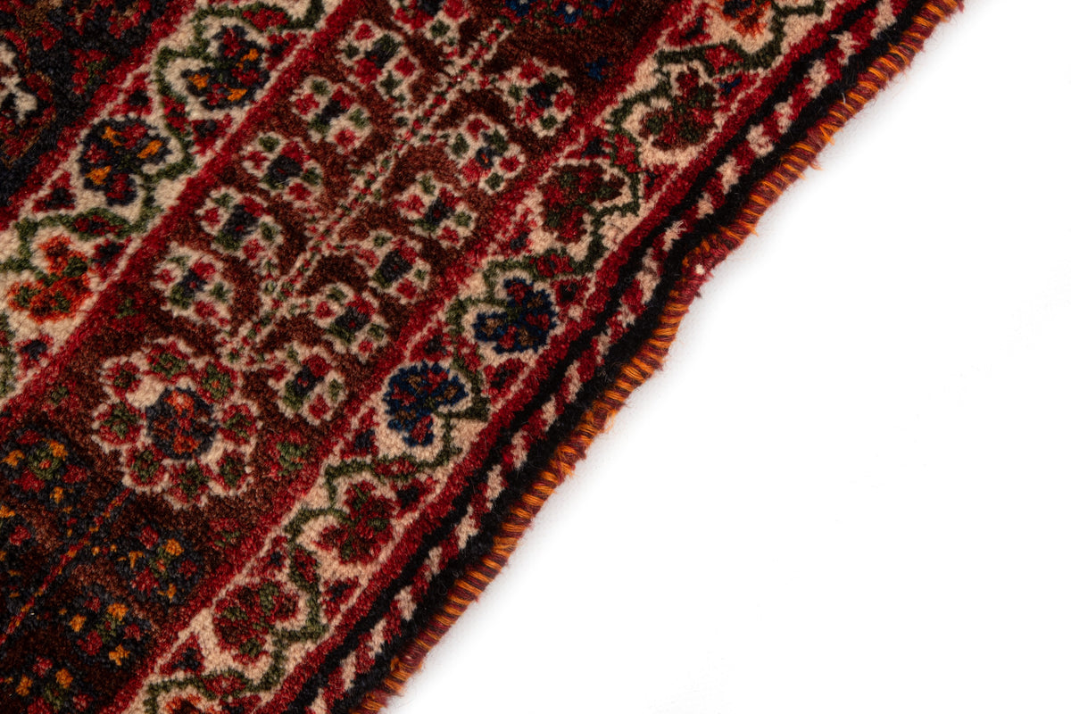 286 x 183 Ghashgai