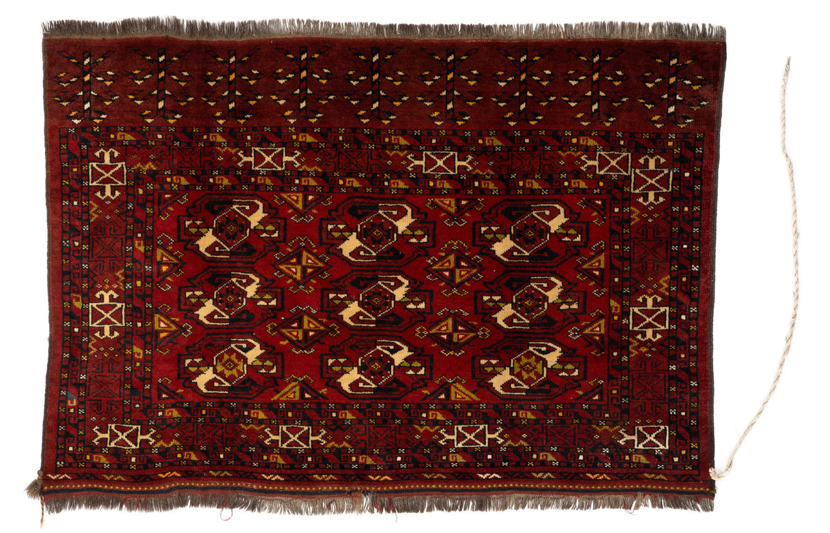 146 x 100 Torkman