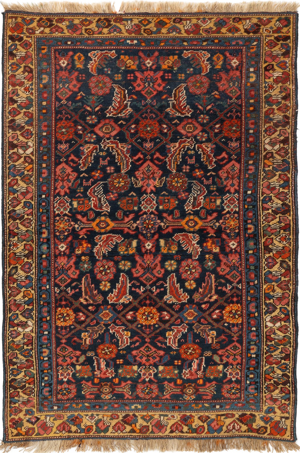 168 x 108 Kasak