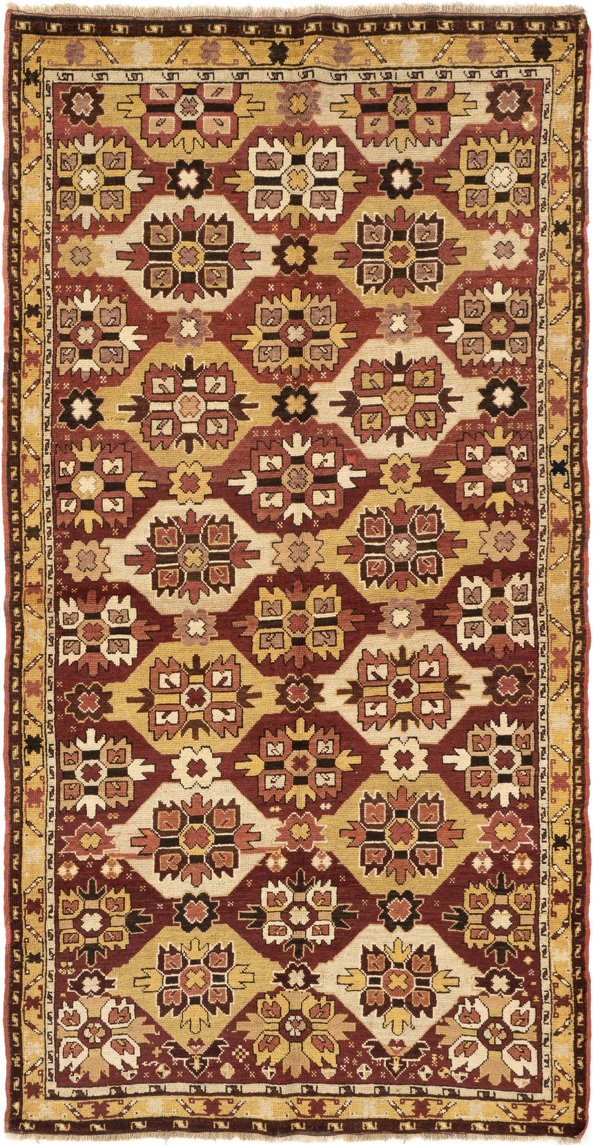 231 x 117 Samarkand