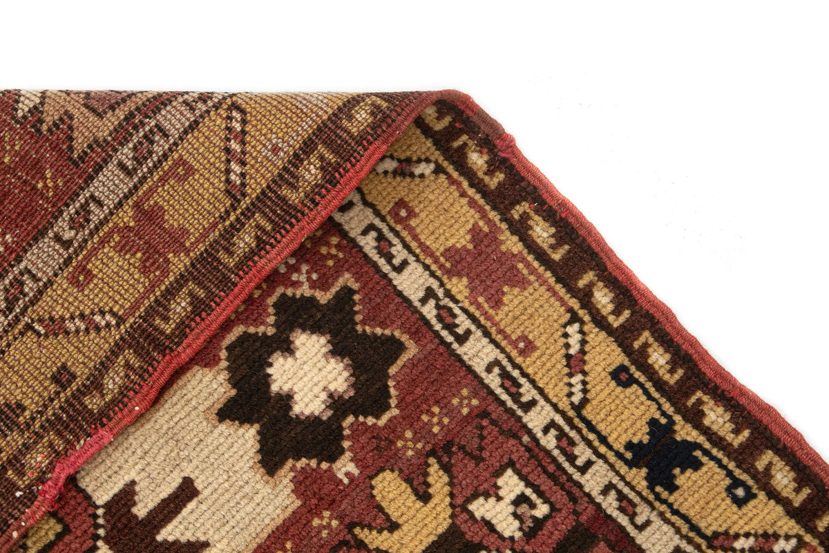 231 x 117 Samarkand