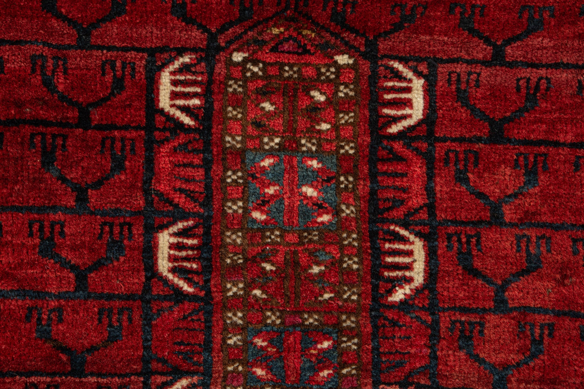 143 x 121 Hatschlou
