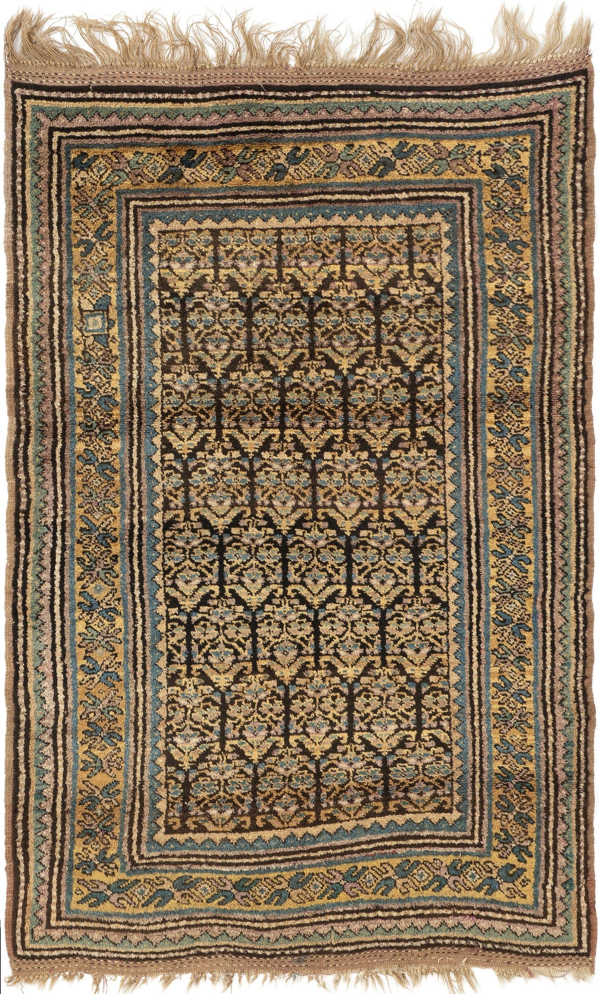 176 x 110 Kurdi