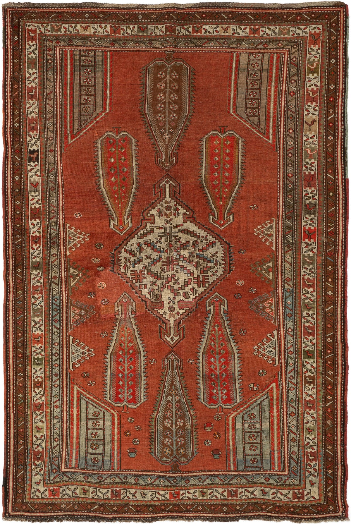 211 x 141 Kasak Schikli