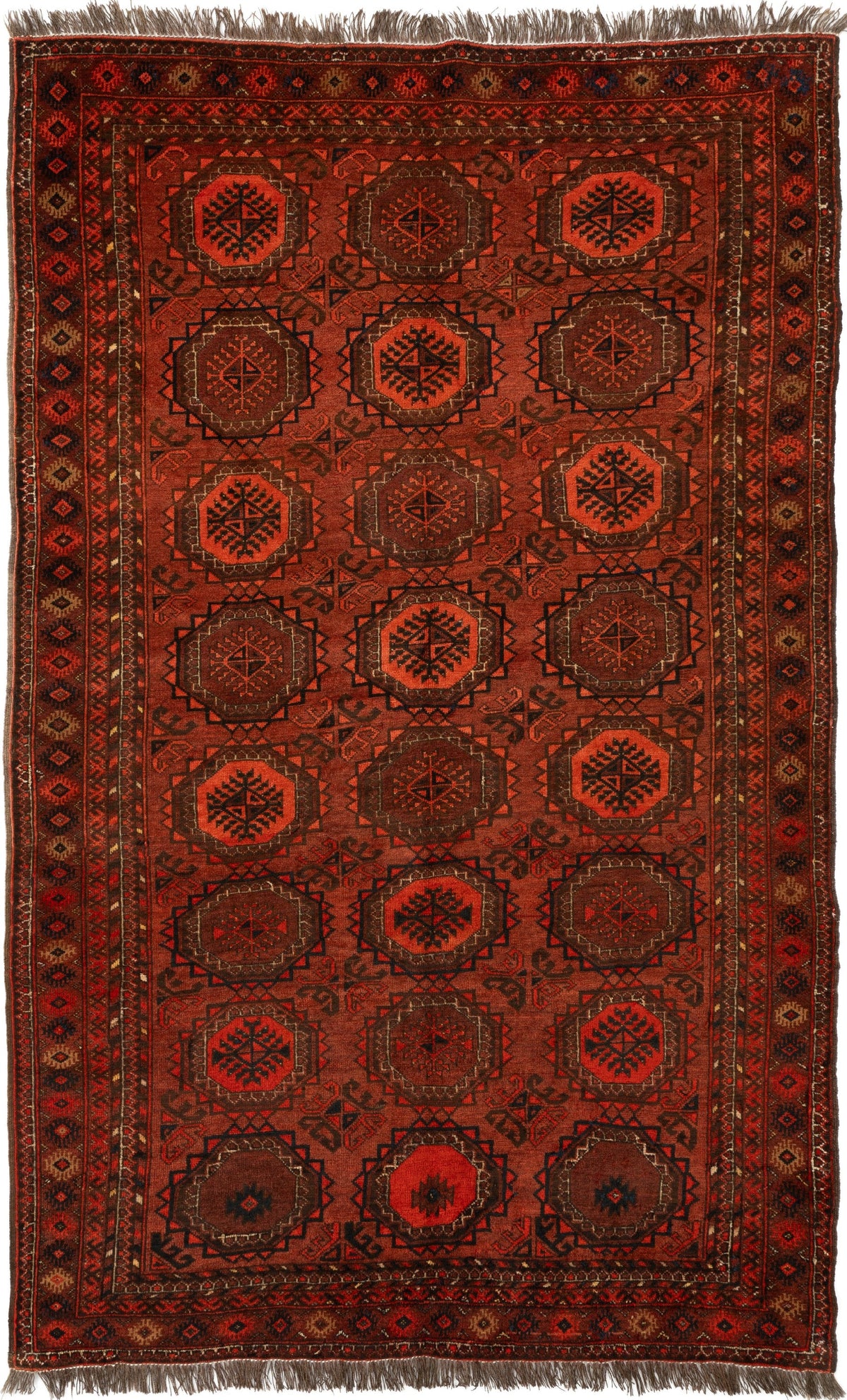 221 x 139 Turkman