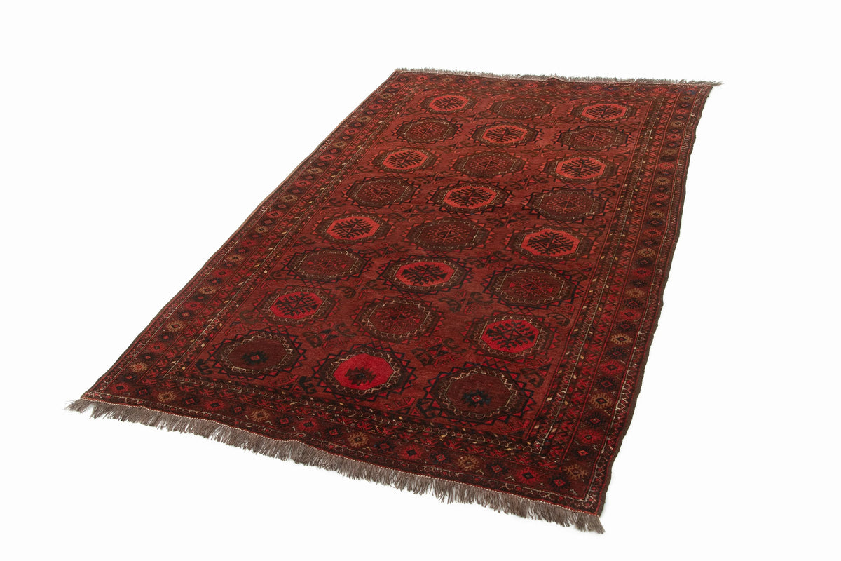 221 x 139 Turkman