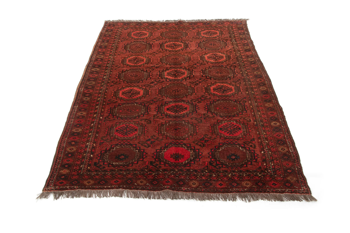 221 x 139 Turkman