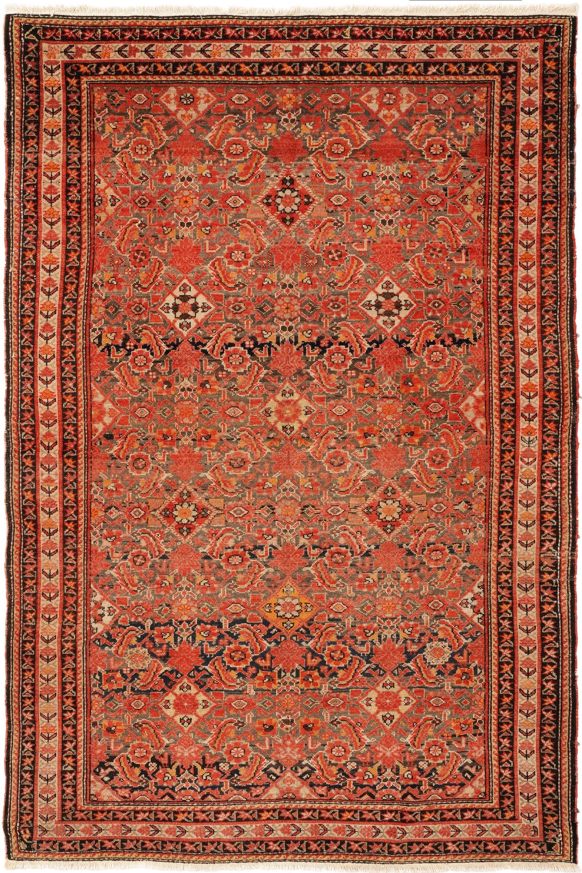 200 x 135 Malaya