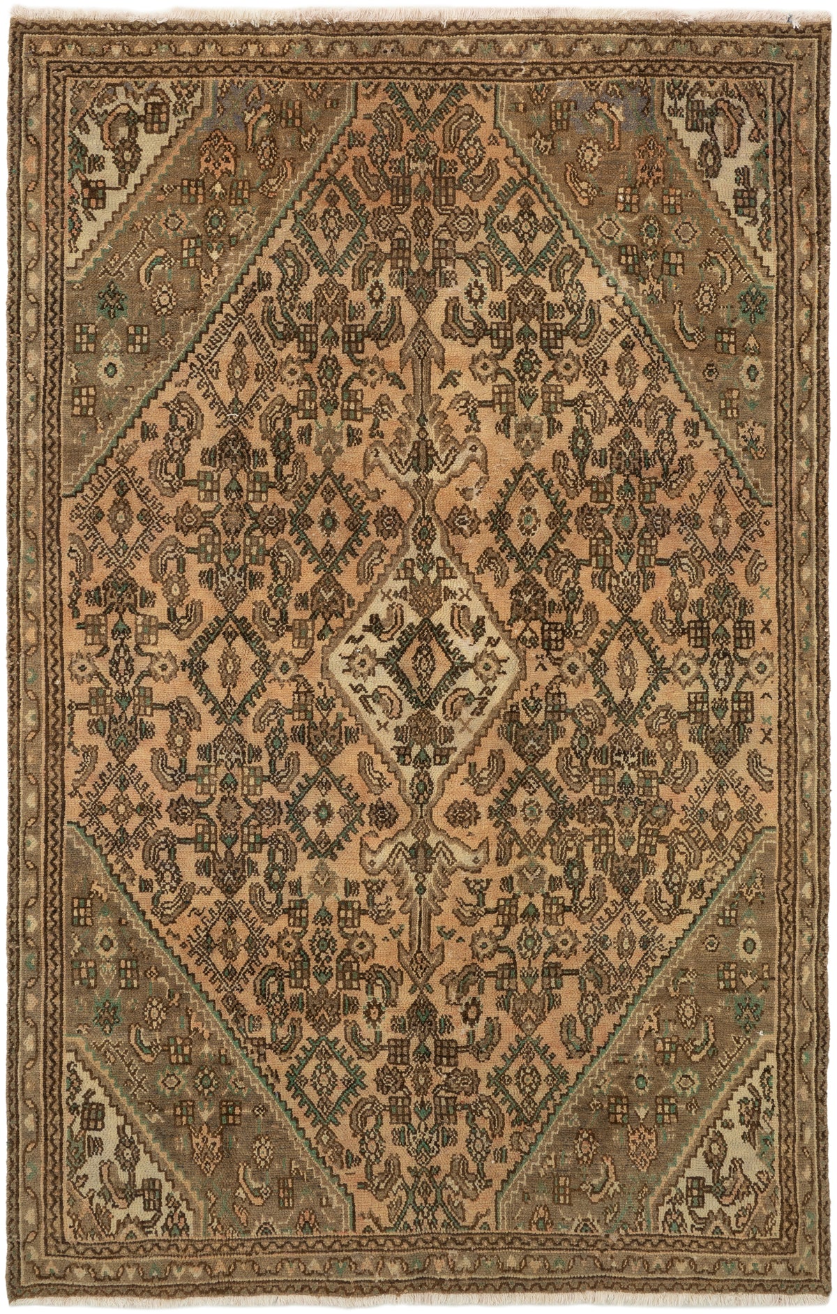 258 x 165 Vintage Royal