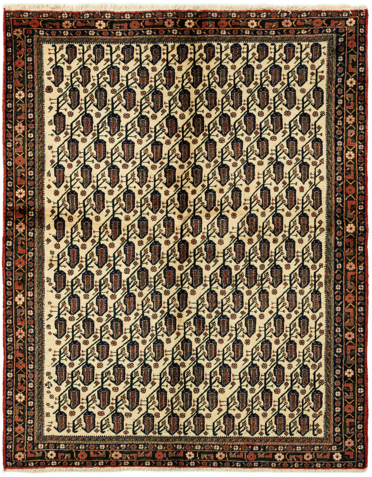 214 x 168 Afshar