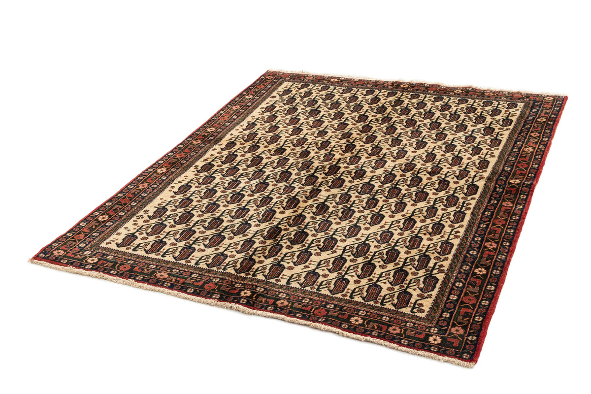 214 x 168 Afshar