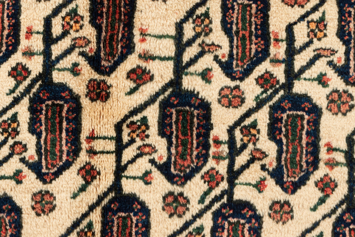 214 x 168 Afshar