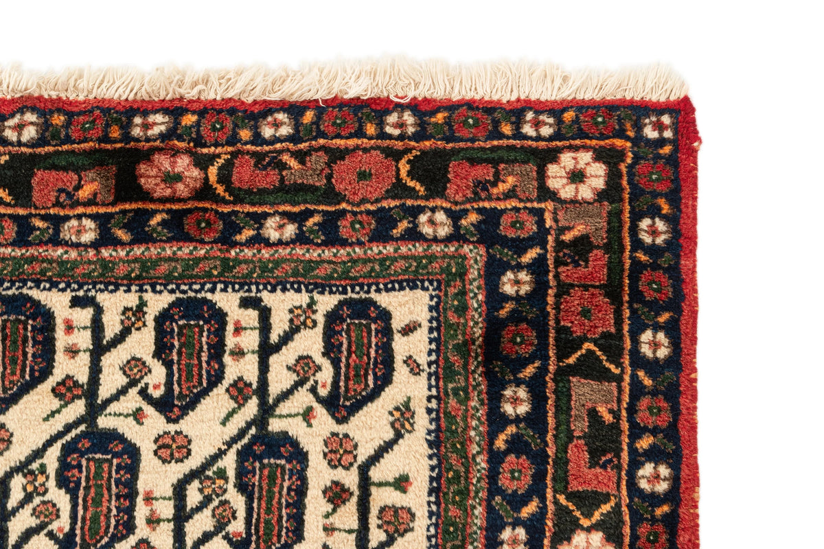 214 x 168 Afshar