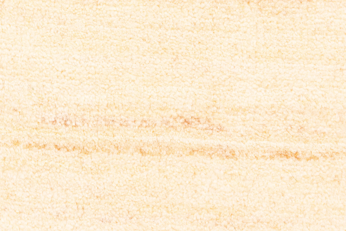289 x 247 Schekarlou