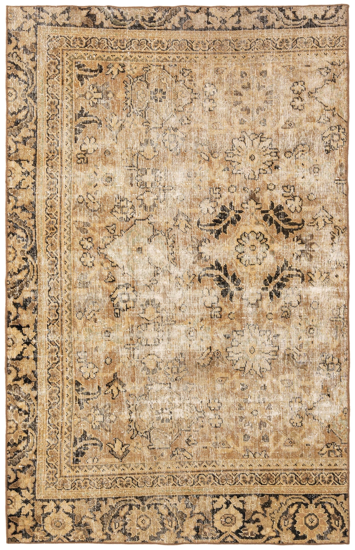 234 x 146 Vintage Royal