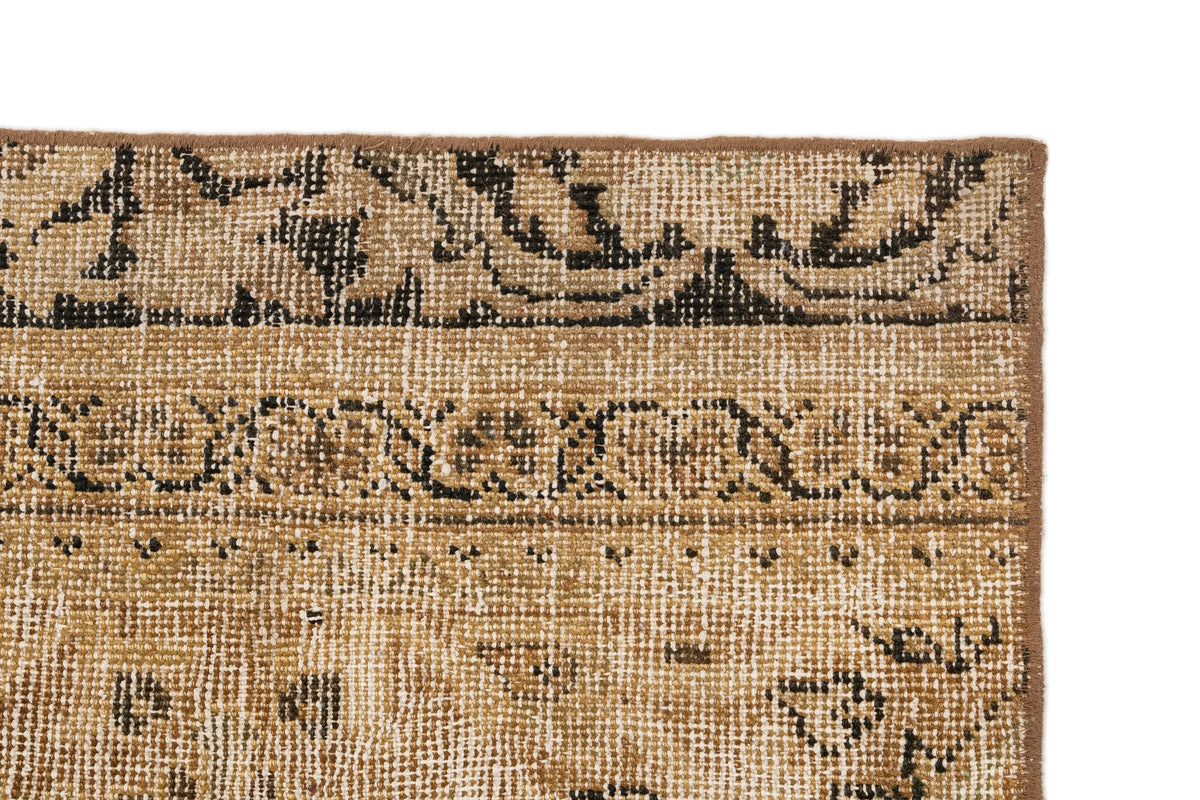 234 x 146 Vintage Royal