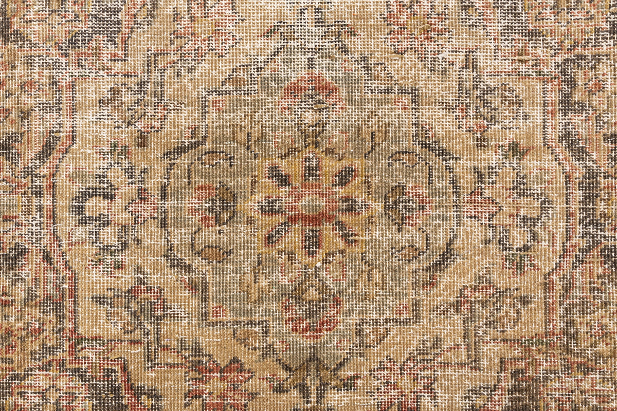 321 x 229 Vintage Royal