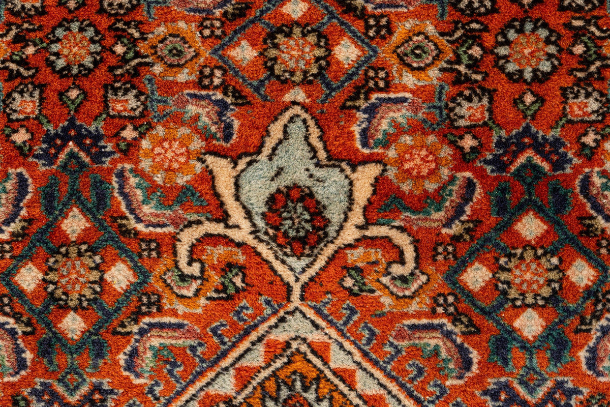 330 x 250 Bidjar