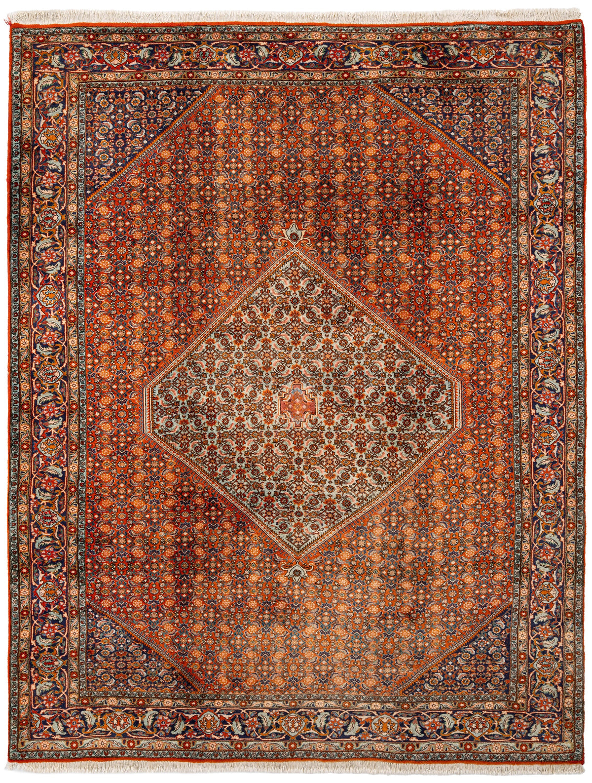 330 x 250 Bidjar
