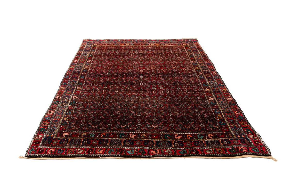 300 x 210 Bidjar