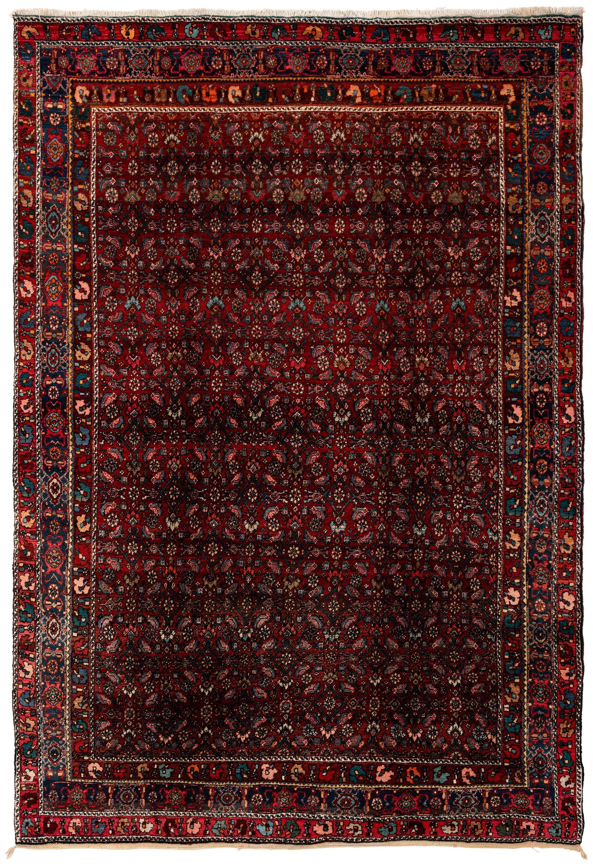 300 x 210 Bidjar