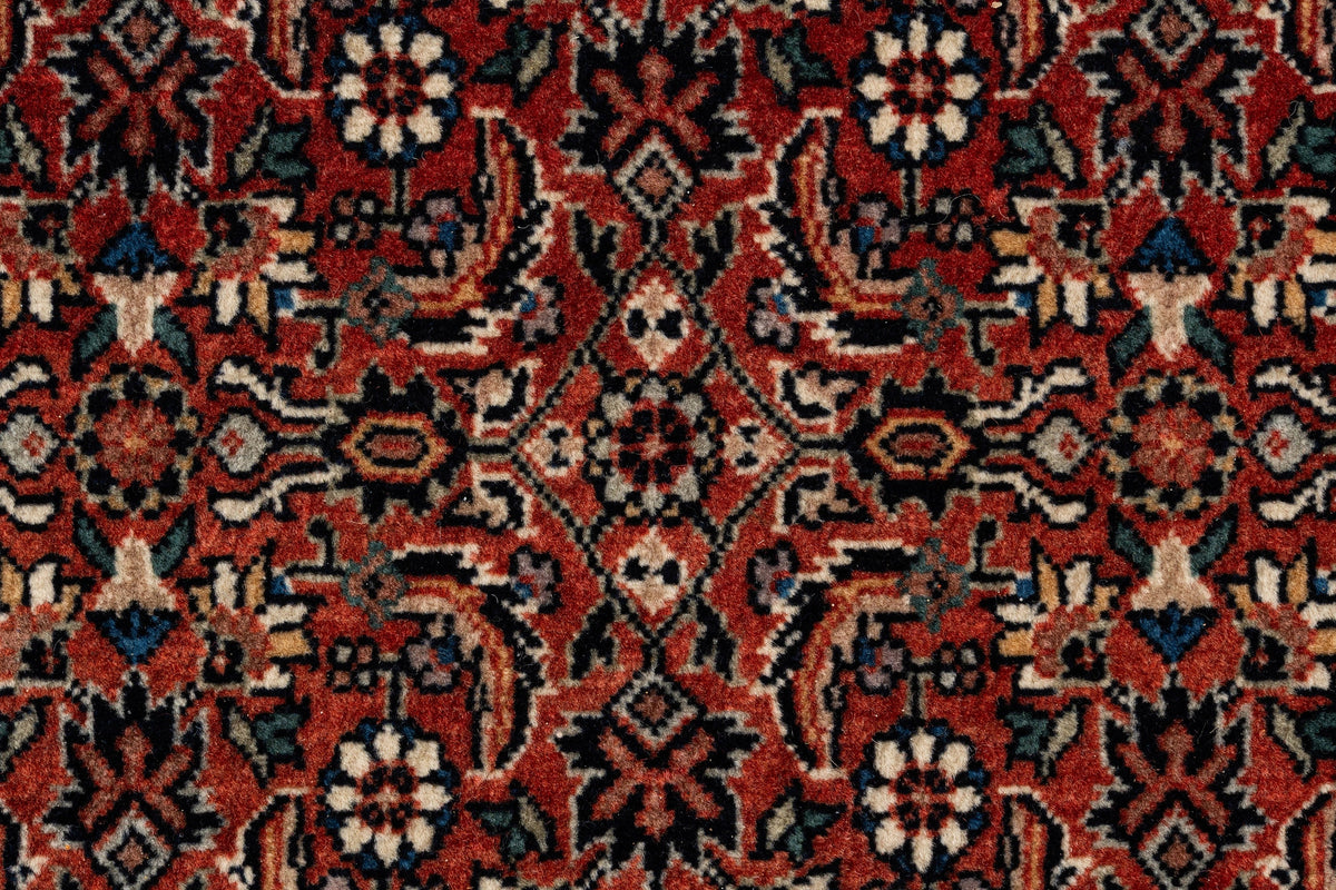 310 x 208 Bidjar