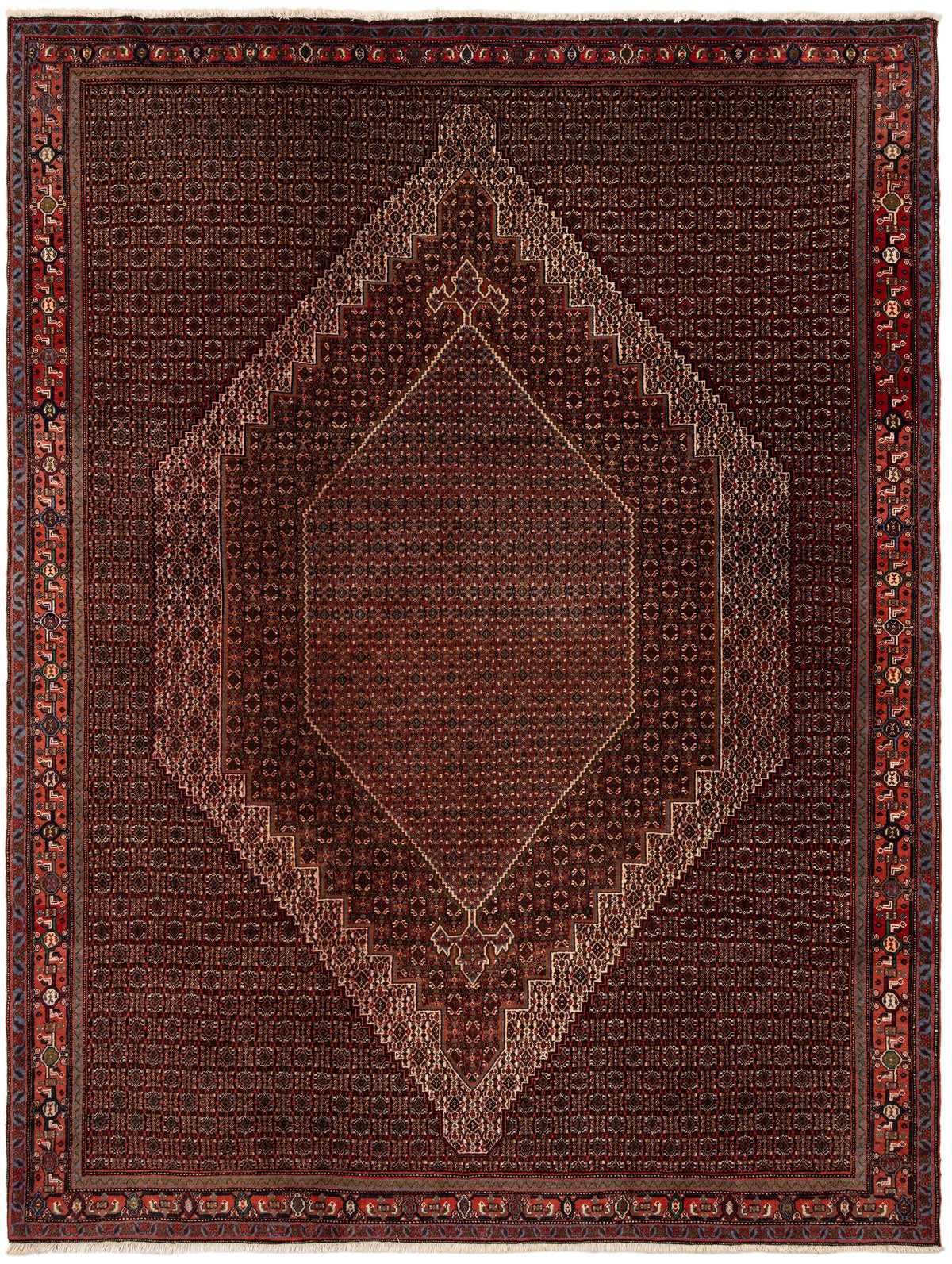 279 x 213 Senneh