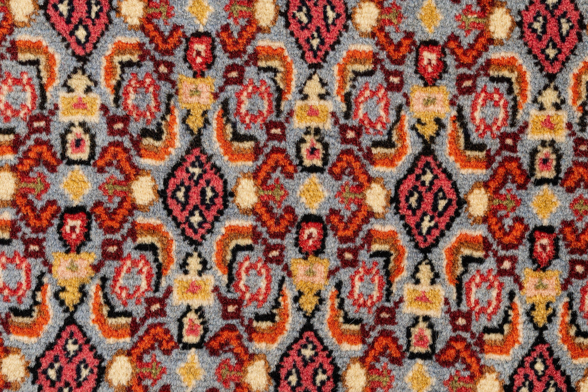 290 x 197 Birdjend