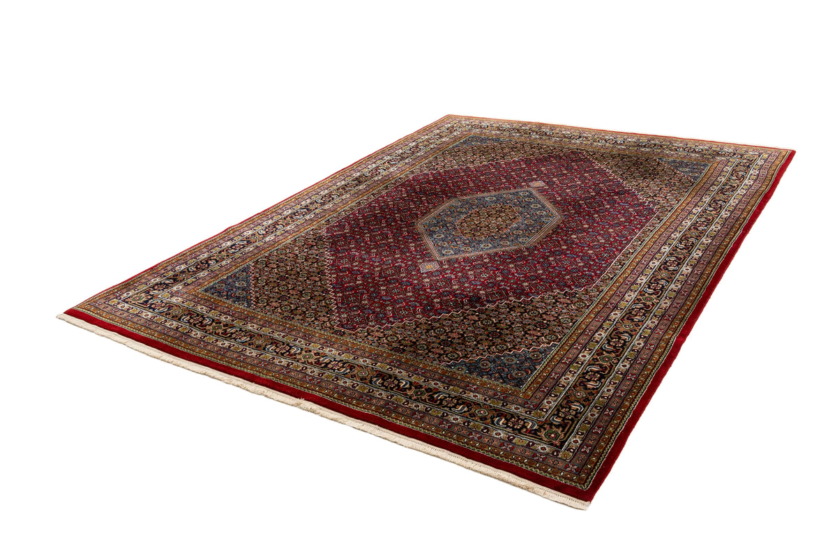 330 x 235 Indo Bidjar