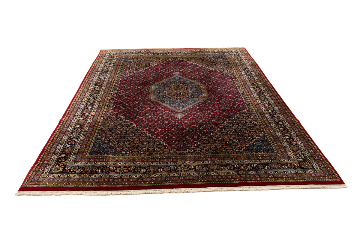 330 x 235 Indo Bidjar