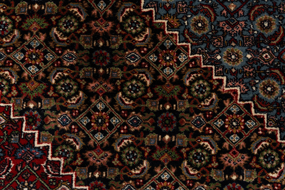 330 x 235 Indo Bidjar
