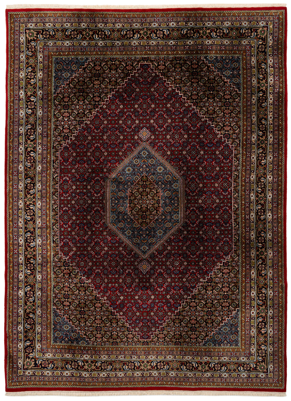 330 x 235 Indo Bidjar