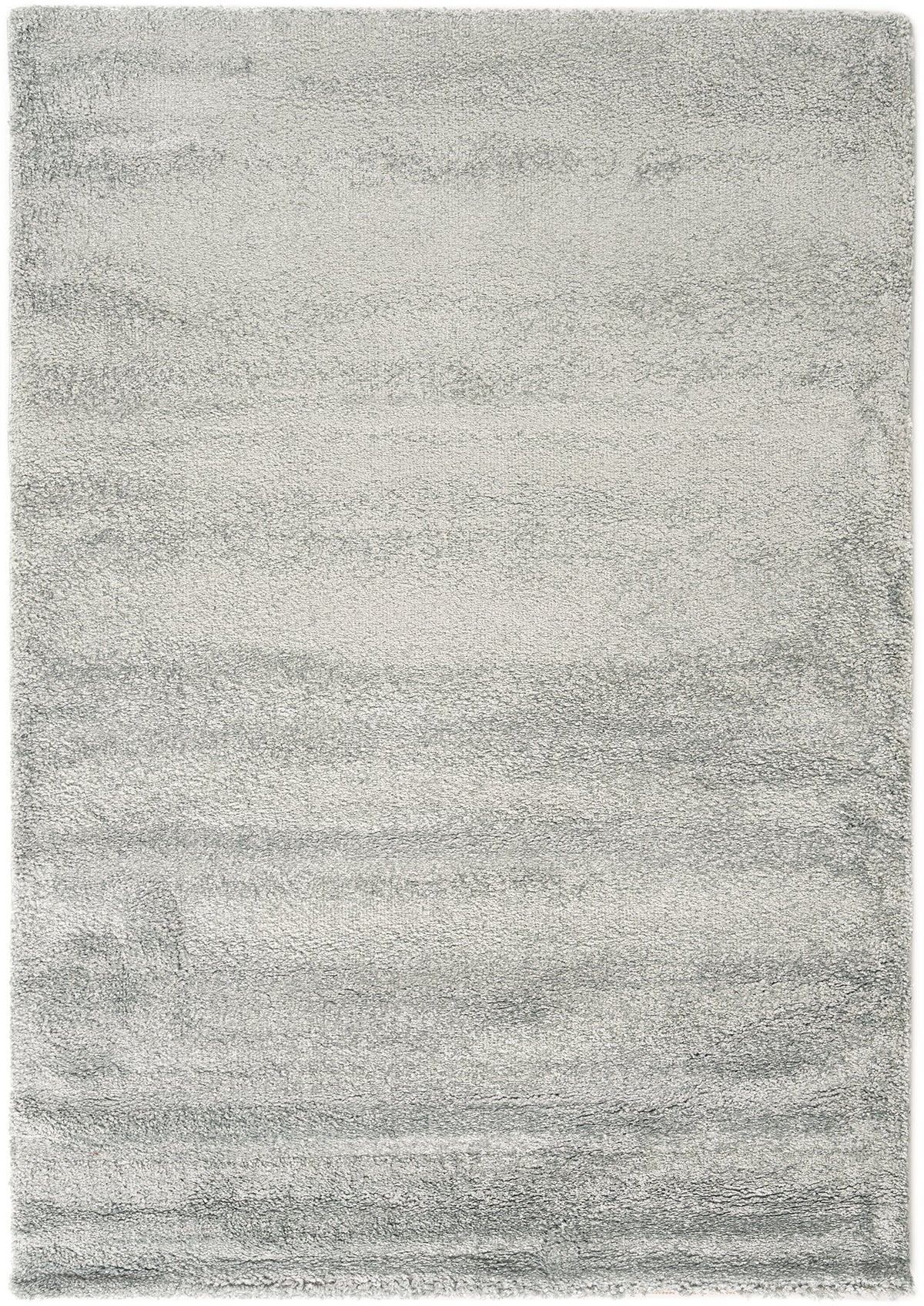 230x160 Shaggy - Hadorn Edizione limitata
